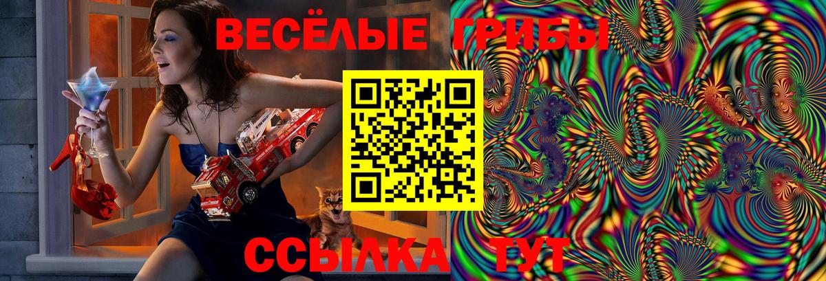 Галлюциногенные грибы мухоморы Волжск