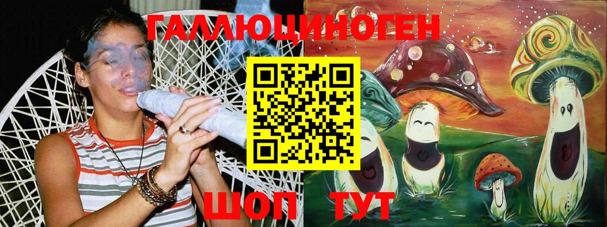Псилоцибиновые грибы MAGIC MUSHROOMS  сколько стоит  Галлюциногенные грибы Psilocybe  Волжск  Вход с VPN 